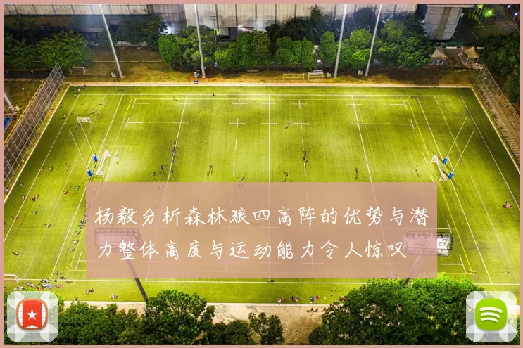 杨毅分析森林狼四高阵的优势与潜力整体高度与运动能力令人惊叹